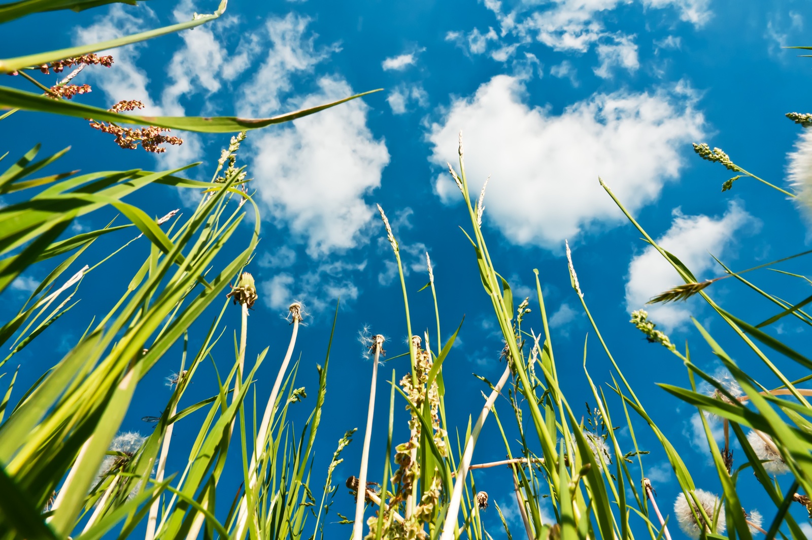 DAAD fördert weitere SDG-Partnerschaft an der JLU    – Regionale Herausforderungen in Aserbaidschan und Georgien im Fokus