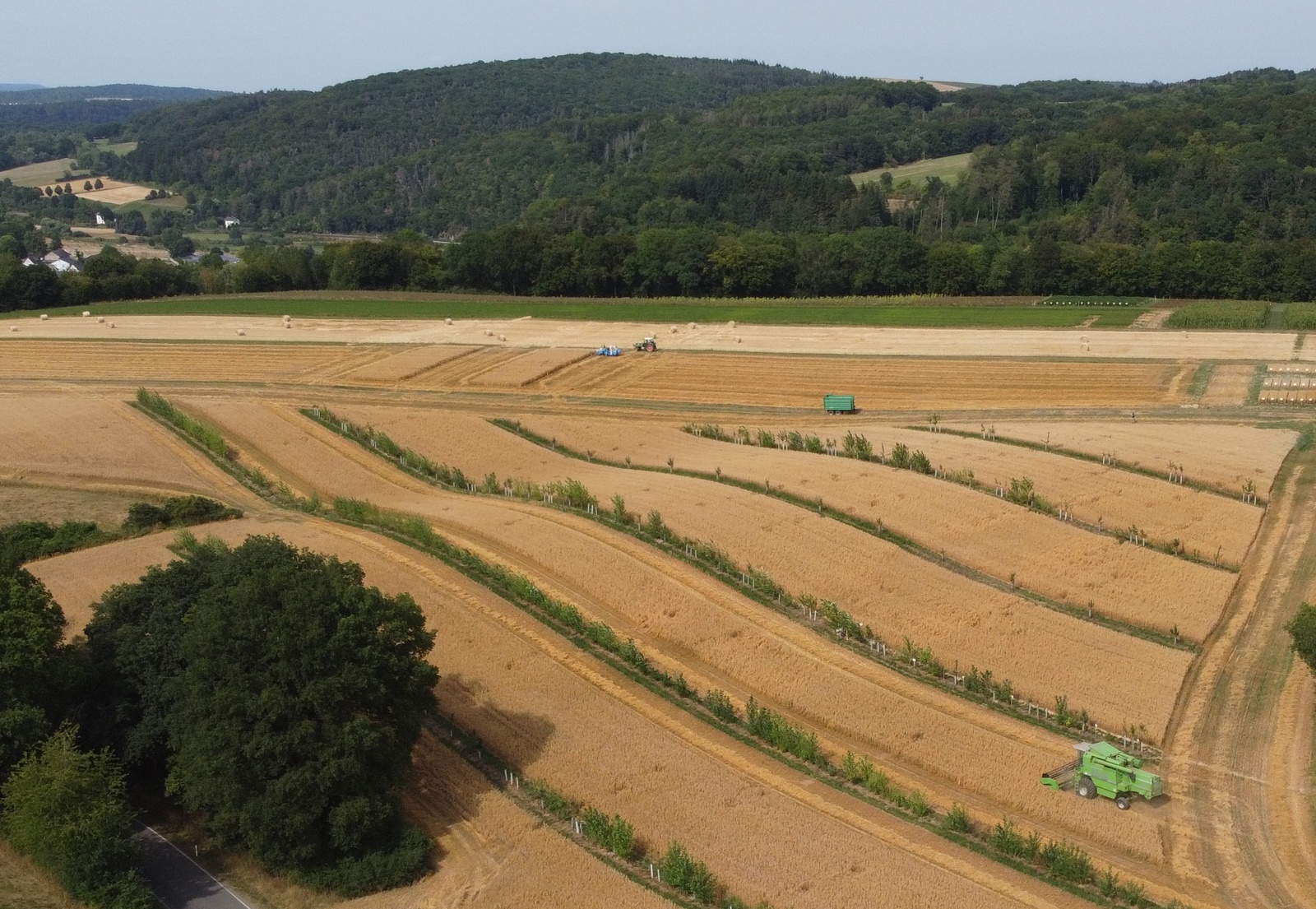 JLU an neuem Leibniz-Zentrum für die Zukunft der Landwirtschaft beteiligt